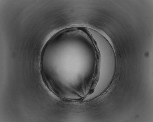 X0000090931005200708271041