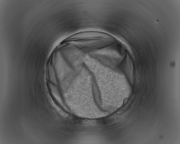 X0000090931006200708271041