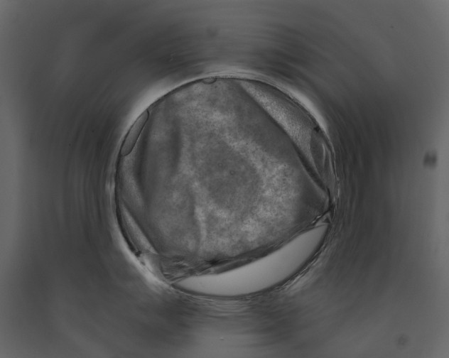 X0000090931007200708271041