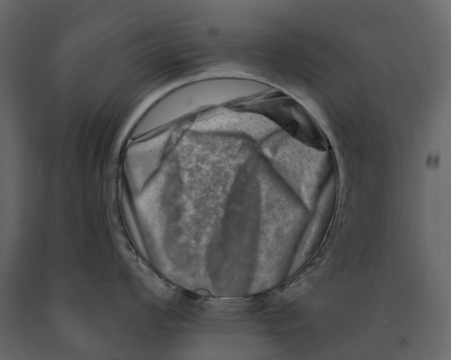 X0000090931008200708271041