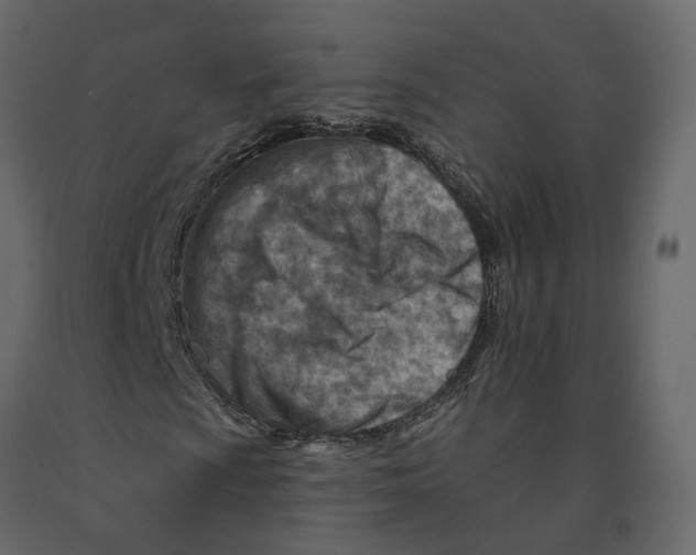 X0000090931009200708271040