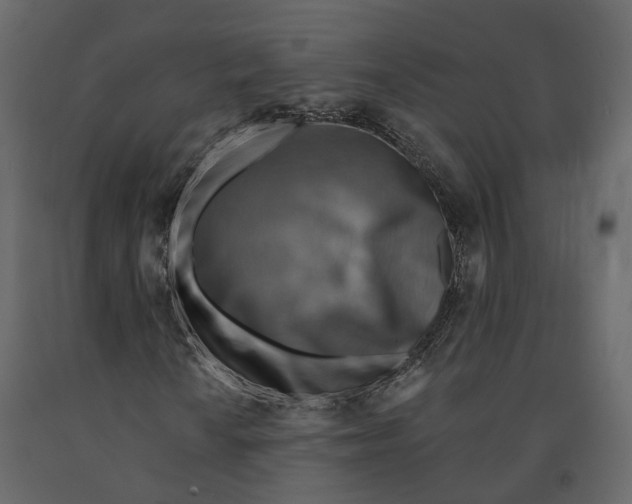 X0000090931010200708271040