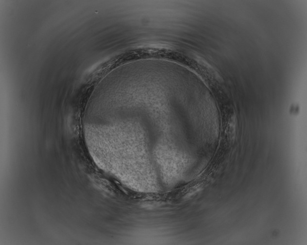 X0000090931014200708271040