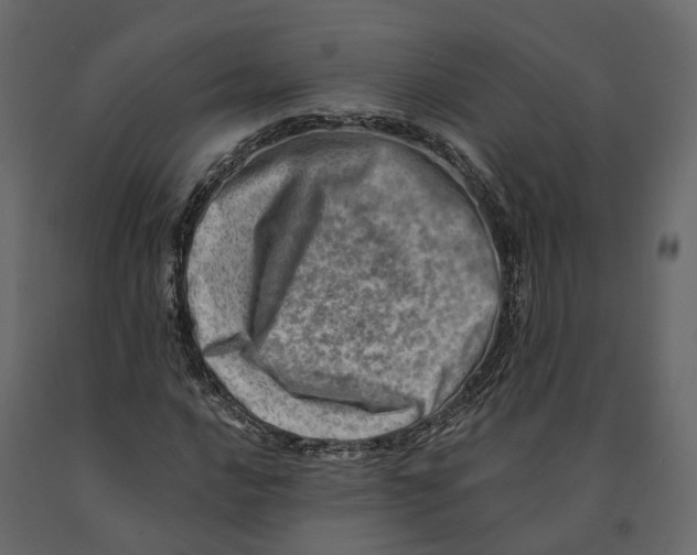 X0000090931016200708271040