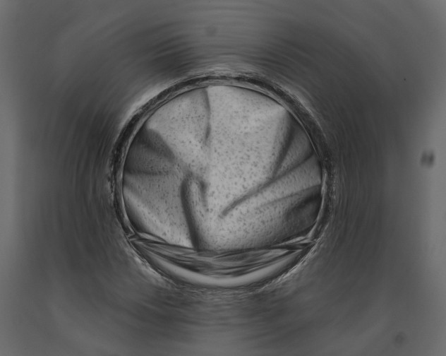 X0000090931018200708271040