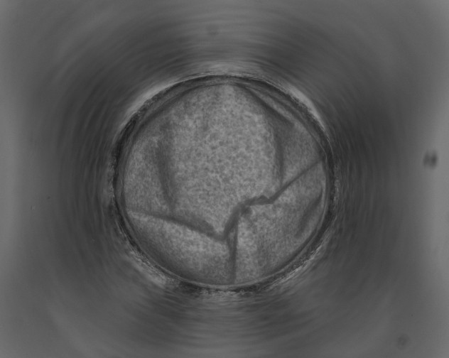 X0000090931019200708271040