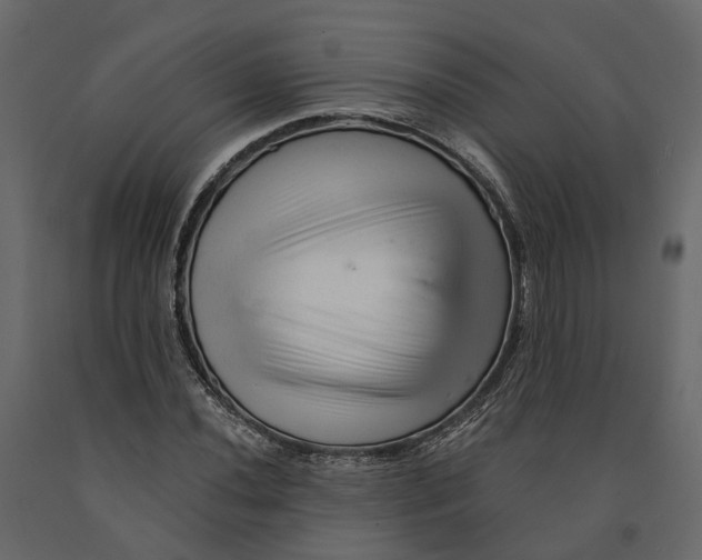 X0000090931020200708271040