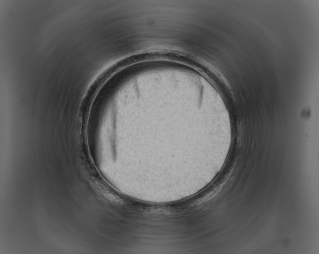 X0000090931021200708271040