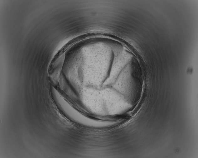 X0000090931022200708271040