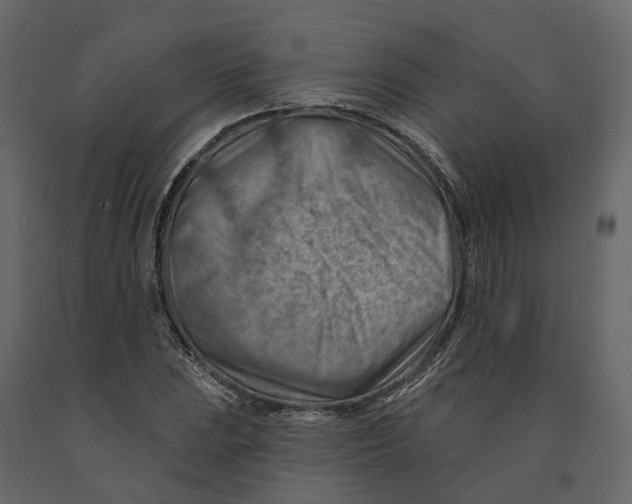 X0000090931023200708271040