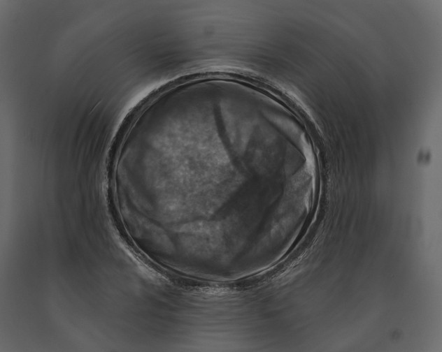 X0000090931024200708271040