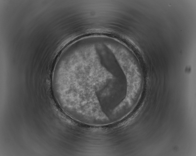 X0000090931025200708271040