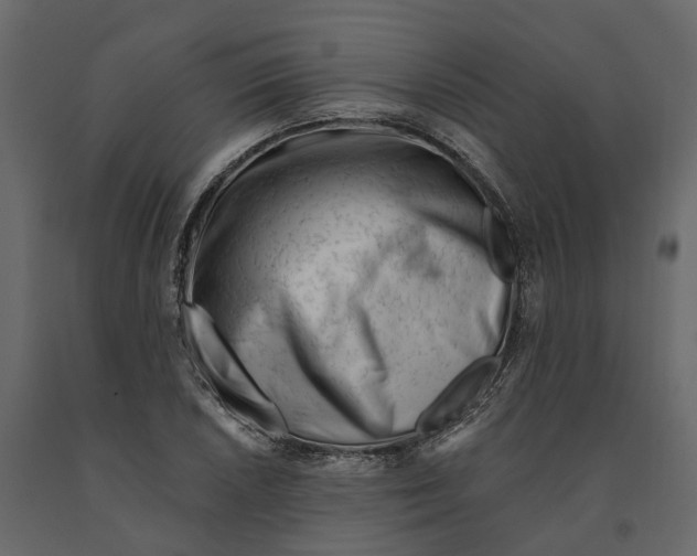 X0000090931026200708271040