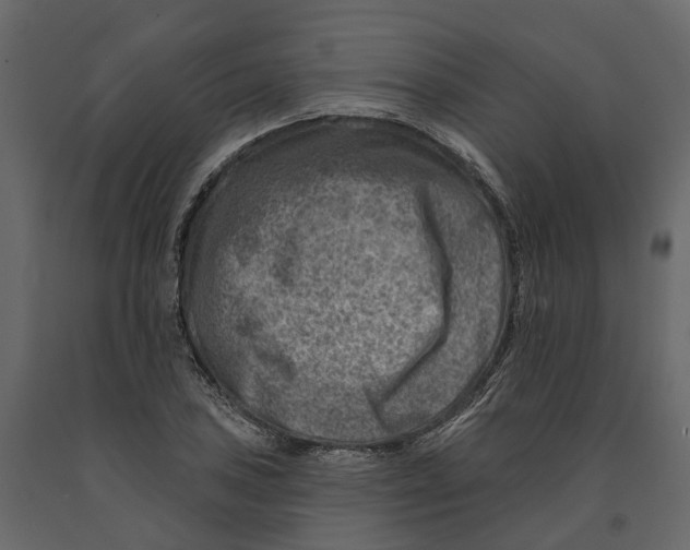 X0000090931027200708271040