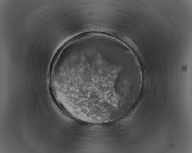 X0000090931028200708271040