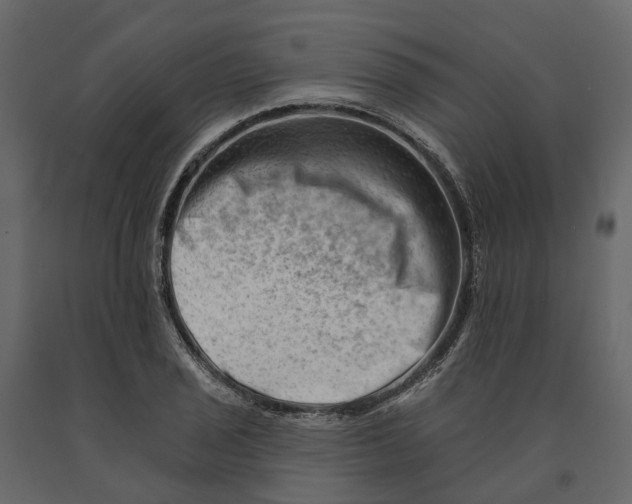 X0000090931029200708271040