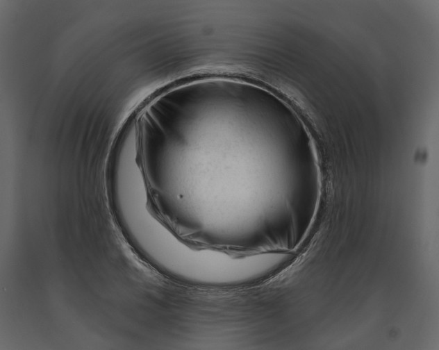 X0000090931030200708271040