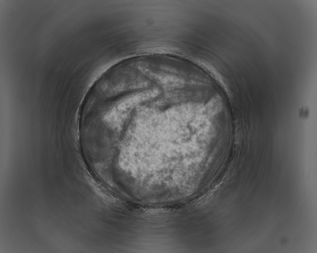 X0000090931031200708271040