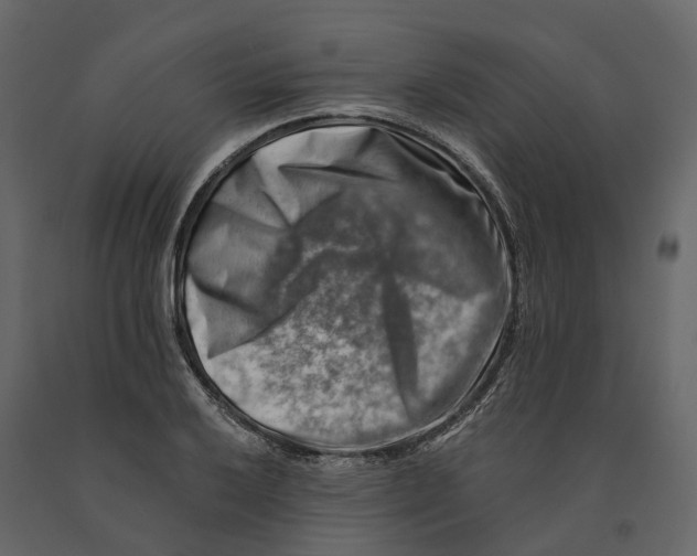 X0000090931032200708271040