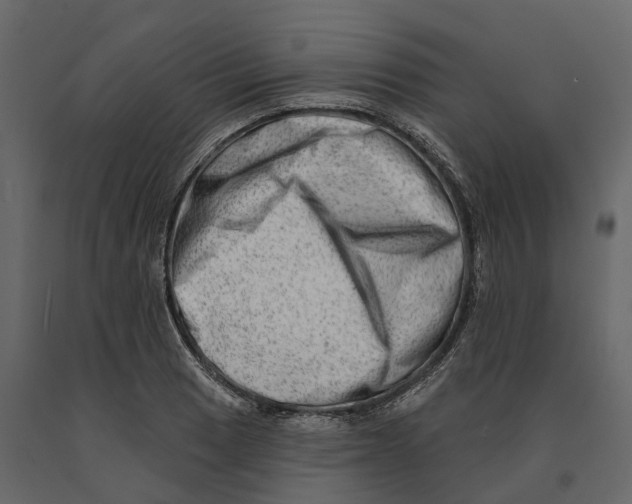 X0000090931033200708271040