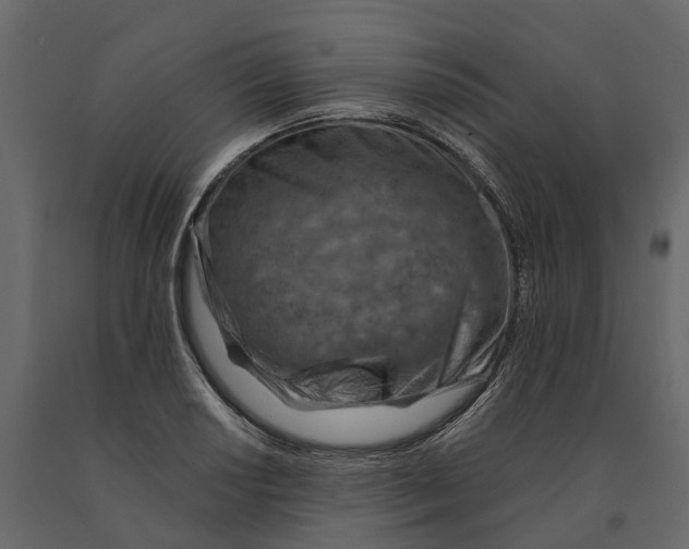 X0000090931034200708271040