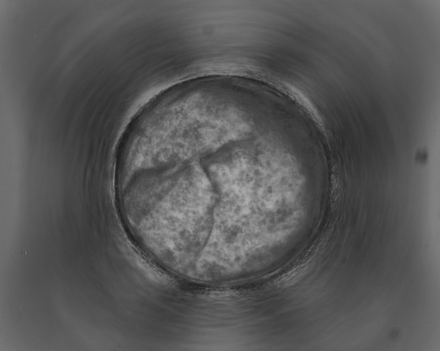 X0000090931035200708271040