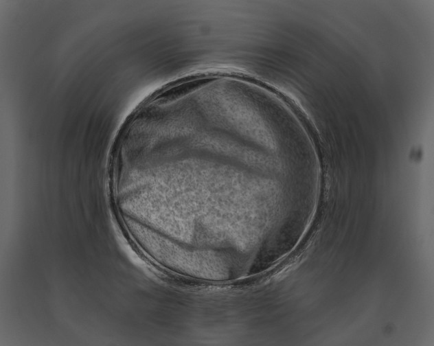 X0000090931038200708271040