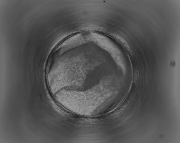 X0000090931039200708271040