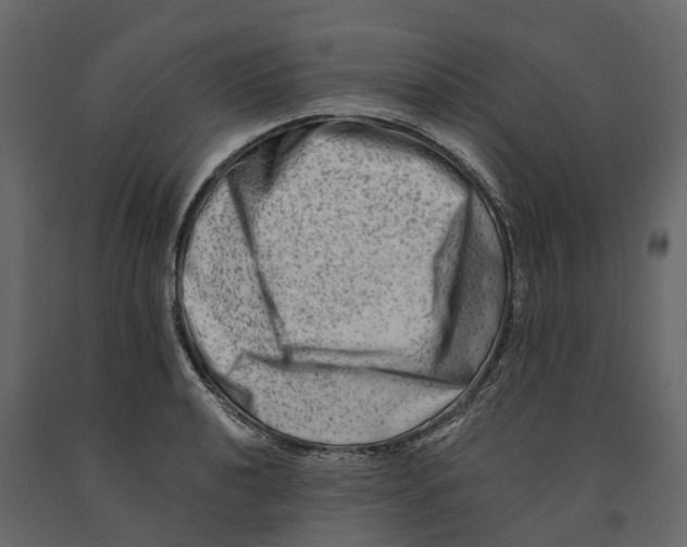 X0000090931040200708271040