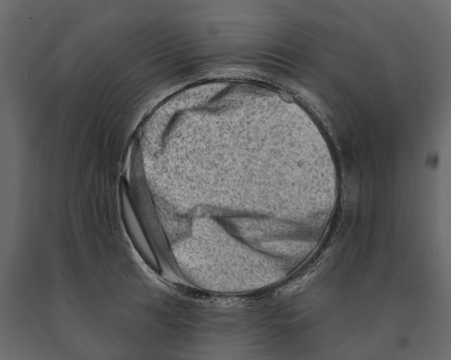 X0000090931041200708271040