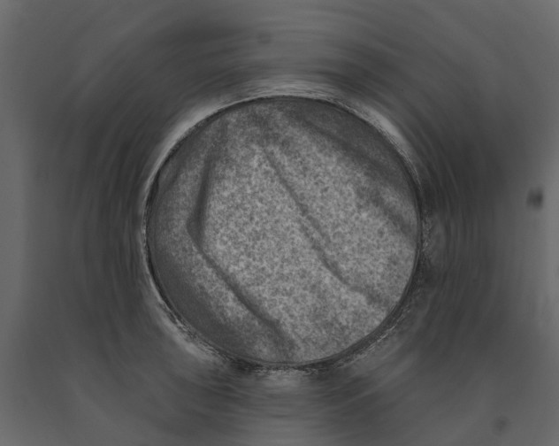 X0000090931043200708271041