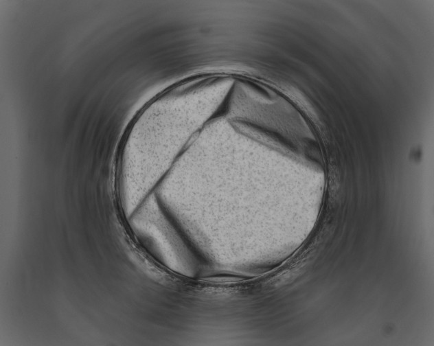 X0000090931044200708271041