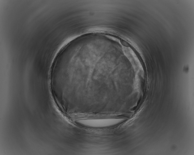 X0000090931045200708271041