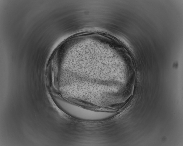 X0000090931046200708271041