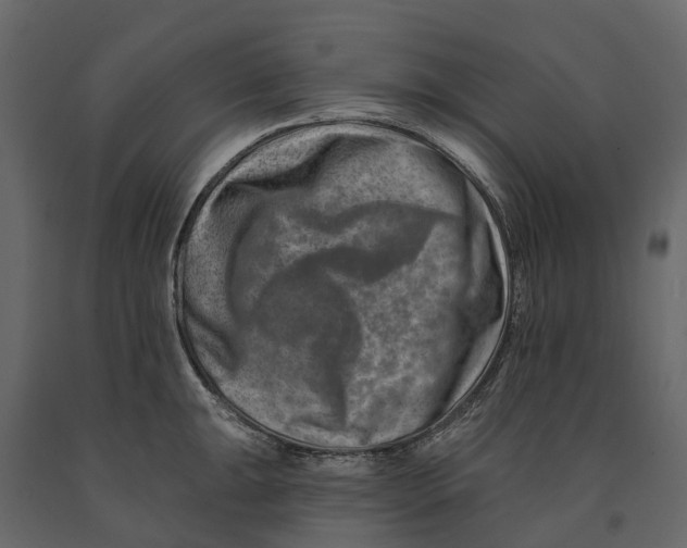 X0000090931047200708271041