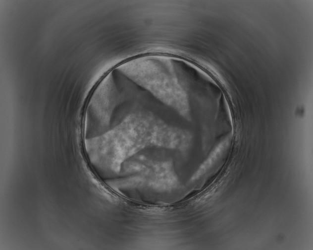 X0000090931048200708271041