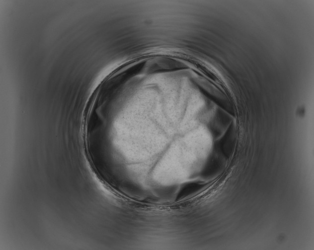 X0000090931050200708271041