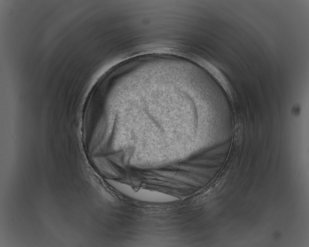 X0000090931051200708271041