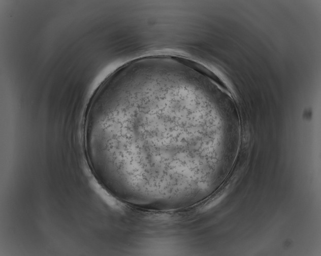 X0000090931054200708271041