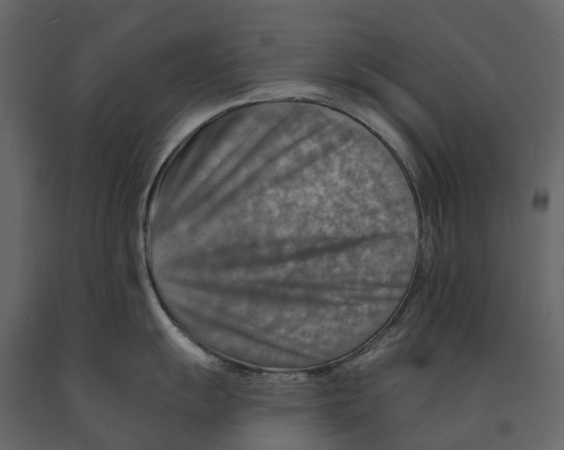 X0000090931055200708271041