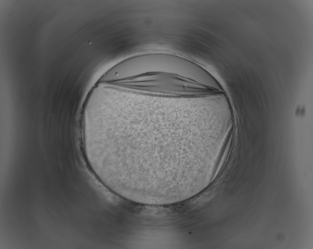 X0000090931056200708271041