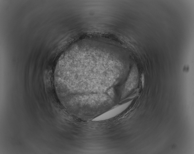 X0000090931059200708271040