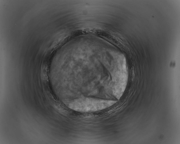 X0000090931060200708271040