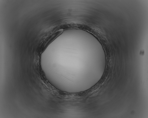 X0000090931061200708271040