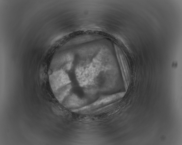 X0000090931063200708271040