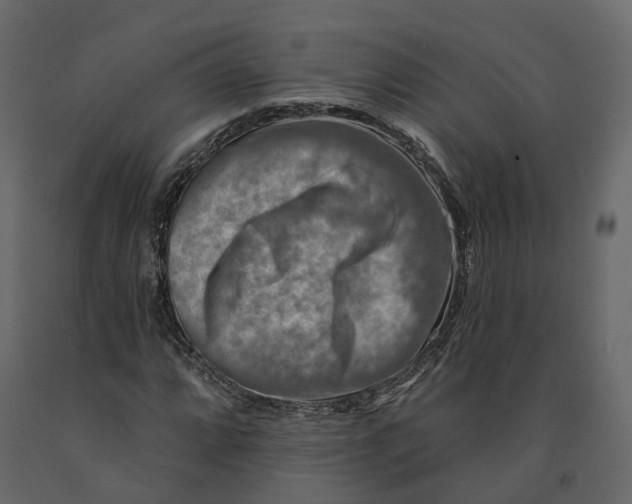 X0000090931064200708271040