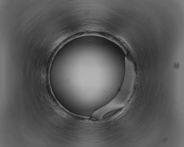 X0000090931065200708271040