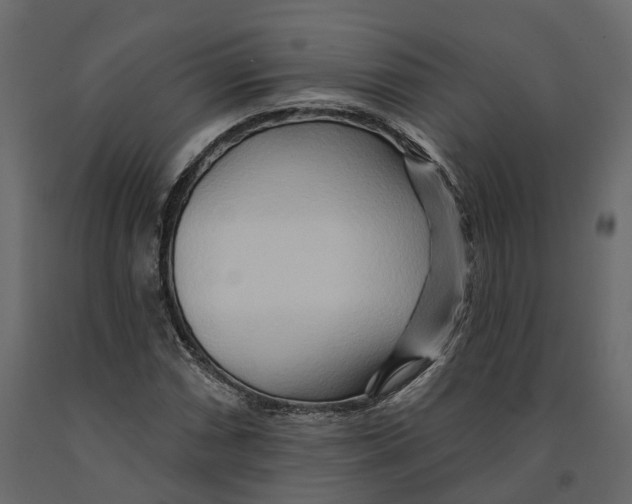 X0000090931066200708271040