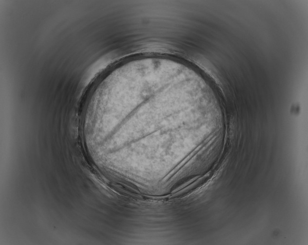 X0000090931067200708271040