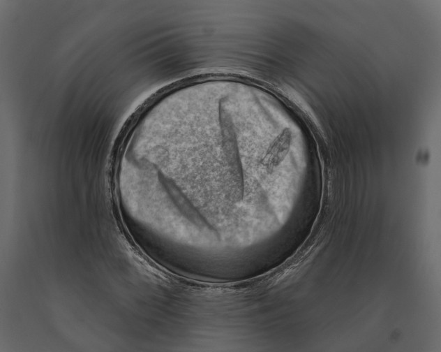 X0000090931068200708271040